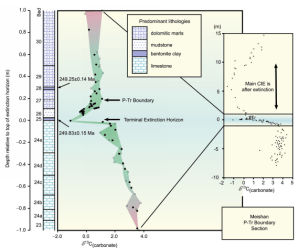 Saunders and Reichow