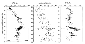 Thomas and Shackleton