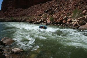 800px-20070331_3424_Lloyd_slowly_flips_in_Indian_Dick