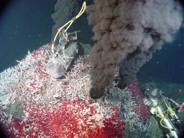 NOAA hydrothermal vent