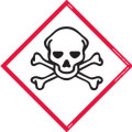 Skull Crossbones