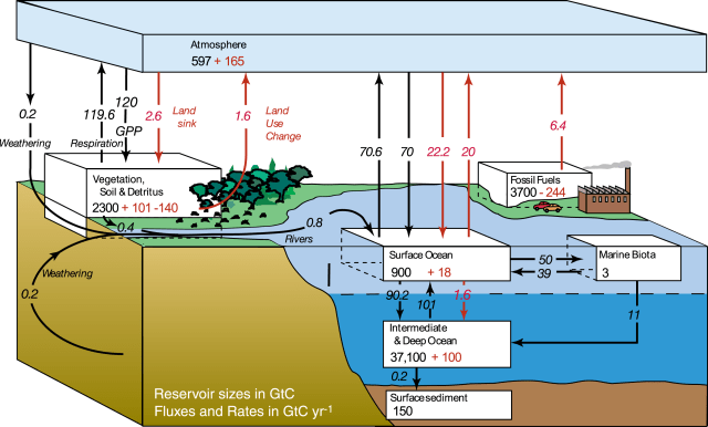 AnthropogenicCarbonCycleBox2