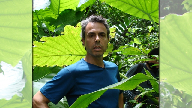 medicinehunter_malaysia