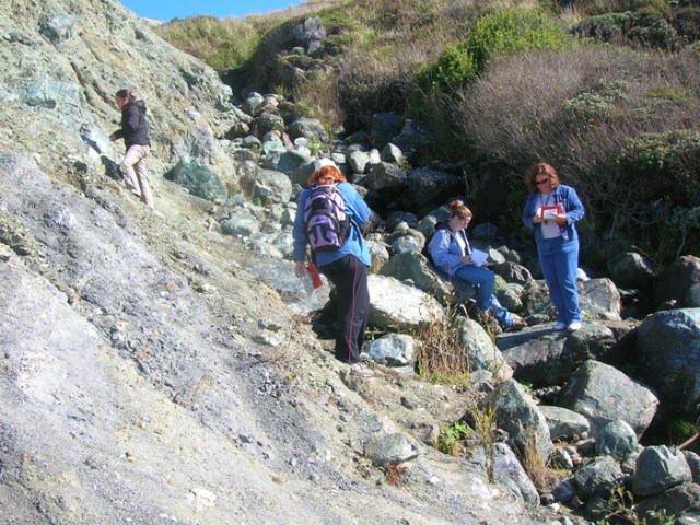 4womenserp Terry Wright