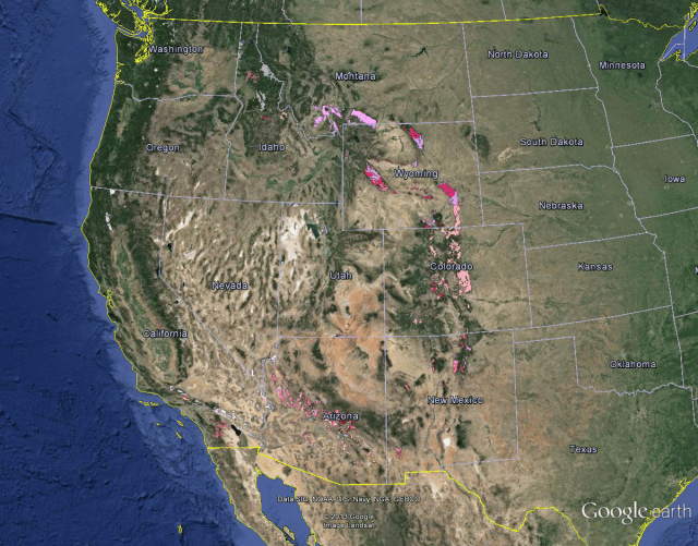 550-1000 mya Precambrian