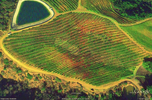 Blocks 14,15, 16.png